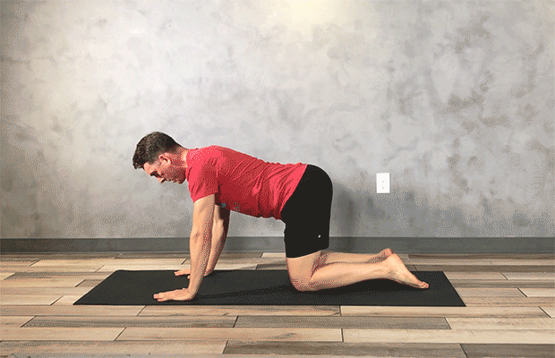 Core Exercises for Lower Back Pain: Bird Dog