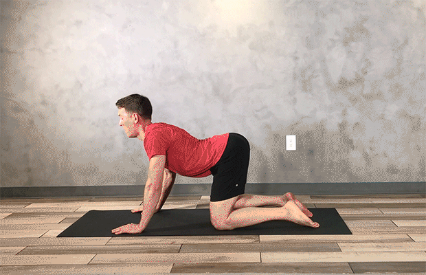 Core Exercises for Lower Back Pain: Segmented Cat-Camel